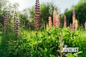 Коттедж 287м², 2-этажный, участок 13 сот.  