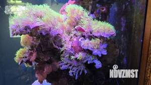 Коттедж 320м², 4-этажный, участок 6 сот.  