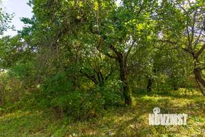 Дом 42м&sup2;, 1-этажный, участок 14 сот.  