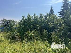 Дом 37м², 1-этажный, участок 12 сот.  