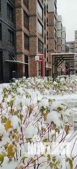 Студия квартира, на длительный срок, 25м2, 4/7 этаж