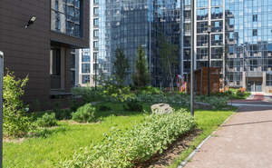 Студия квартира, на длительный срок, 24м2, 2/12 этаж