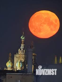 2-к квартира, на длительный срок, 51м2, 9/10 этаж