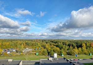 1-к квартира, на длительный срок, 31м2, 12/12 этаж