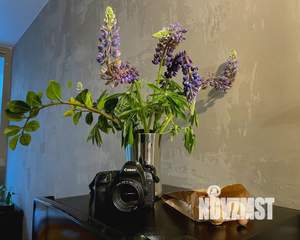 Студия квартира, посуточно, 25м2, 2/4 этаж