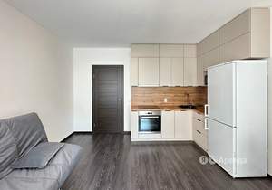 Студия квартира, на длительный срок, 25м2, 4/8 этаж