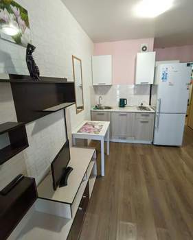 Студия квартира, на длительный срок, 25м2, 8/24 этаж