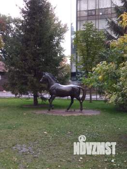 1-к квартира, на длительный срок, 42м2, 10/11 этаж