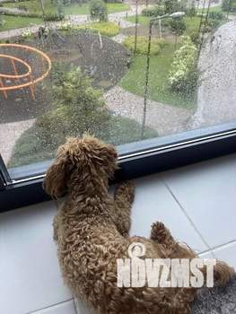 2-к квартира, посуточно, 72м2, 1/1 этаж