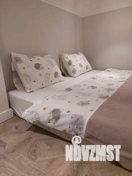 1-к квартира, посуточно, 52м2, 1/2 этаж