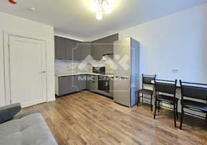 1-к квартира, на длительный срок, 33м2, 13/25 этаж