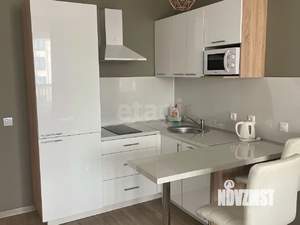 Студия квартира, на длительный срок, 25м2, 17/22 этаж