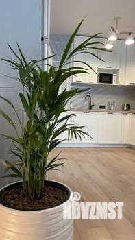 2-к квартира, на длительный срок, 50м2, 4/9 этаж
