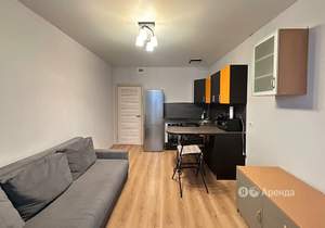 Студия квартира, на длительный срок, 24м2, 14/24 этаж