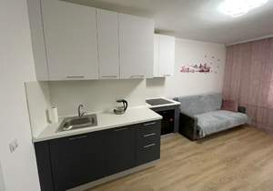 1-к квартира, на длительный срок, 20м2, 11/16 этаж