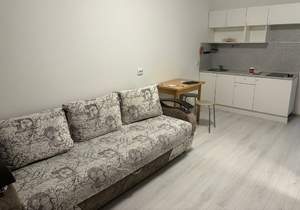 1-к квартира, на длительный срок, 24м2, 5/8 этаж