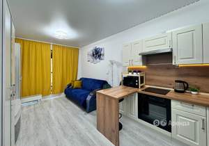 Студия квартира, на длительный срок, 25м2, 13/15 этаж