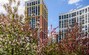 1-к квартира, на длительный срок, 34м2, 8/19 этаж