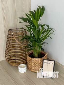 Студия квартира, посуточно, 30м2, 7/10 этаж