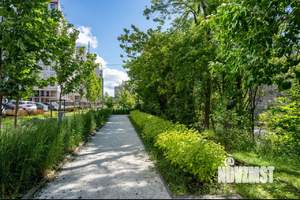 Студия квартира, посуточно, 19м2, 6/13 этаж