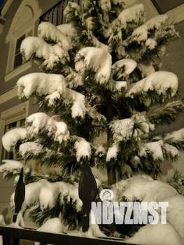 5-к квартира, посуточно, 150м2, 2/2 этаж