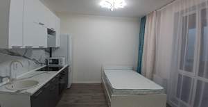 Студия квартира, на длительный срок, 26м2, 13/14 этаж