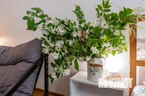 Студия квартира, посуточно, 40м2, 2/4 этаж