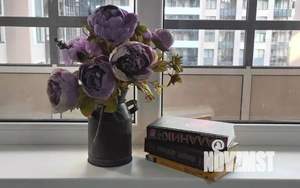 1-к квартира, посуточно, 27м2, 1/1 этаж