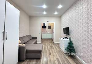 Студия квартира, на длительный срок, 24м2, 7/24 этаж