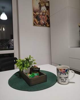 Студия квартира, на длительный срок, 25м2, 16/25 этаж