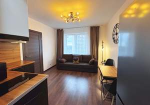 1-к квартира, на длительный срок, 32м2, 12/13 этаж