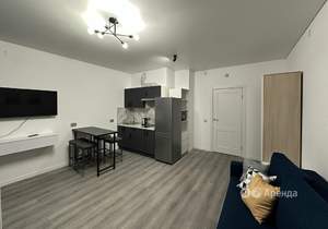 Студия квартира, на длительный срок, 25м2, 8/15 этаж