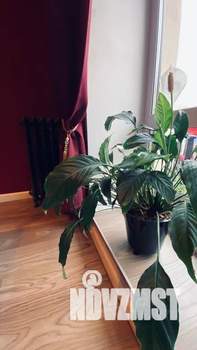 2-к квартира, посуточно, 50м2, 6/7 этаж