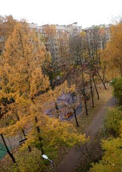 2-к квартира, на длительный срок, 52м2, 6/9 этаж