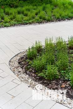 Студия квартира, посуточно, 25м2, 2/5 этаж