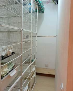 1-к квартира, на длительный срок, 40м2, 21/24 этаж