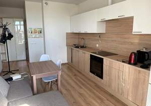1-к квартира, на длительный срок, 43м2, 12/13 этаж