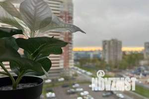 1-к квартира, посуточно, 32м2, 9/23 этаж