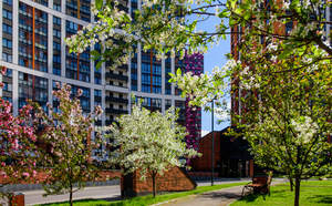 1-к квартира, на длительный срок, 34м2, 8/19 этаж