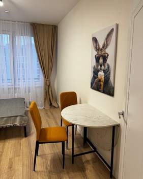 Студия квартира, на длительный срок, 20м2, 12/15 этаж