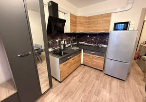 Студия квартира, на длительный срок, 20м2, 7/25 этаж