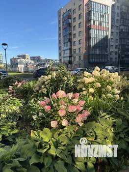 2-к квартира, на длительный срок, 75м2, 8/14 этаж