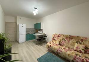 Студия квартира, на длительный срок, 25м2, 23/25 этаж