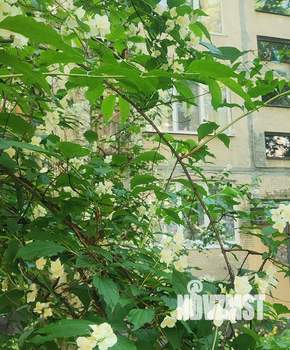 2-к квартира, на длительный срок, 30м2, 2/5 этаж