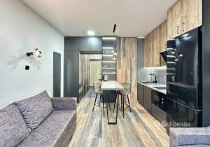 Студия квартира, на длительный срок, 23м2, 9/17 этаж