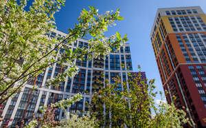 1-к квартира, на длительный срок, 34м2, 8/19 этаж