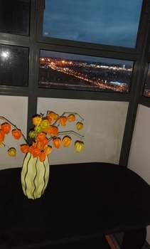 Студия квартира, на длительный срок, 25м2, 18/27 этаж