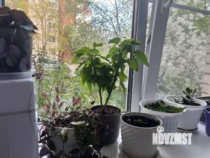 2-к квартира, на длительный срок, 53м2, 1/5 этаж