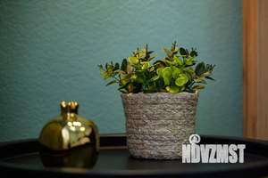 1-к квартира, посуточно, 32м2, 7/9 этаж