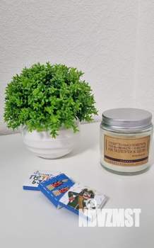 Студия квартира, посуточно, 25м2, 7/12 этаж